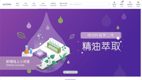 多特瑞 中国 官网今日全新上线