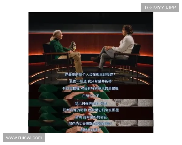 王国豆瓣影评热议揭示剧情深层意义与人物塑造的独特魅力